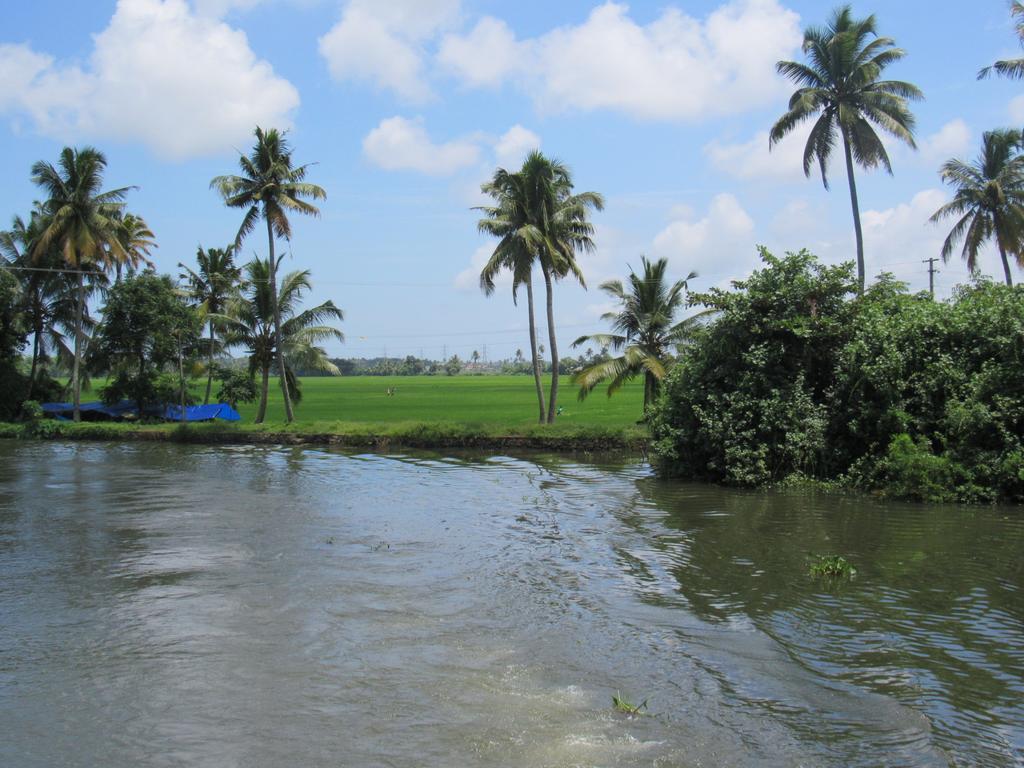 Villa Marari Dreamz Alappuzha Camera foto