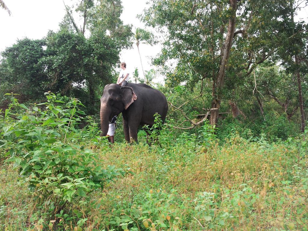 Villa Marari Dreamz Alappuzha Camera foto