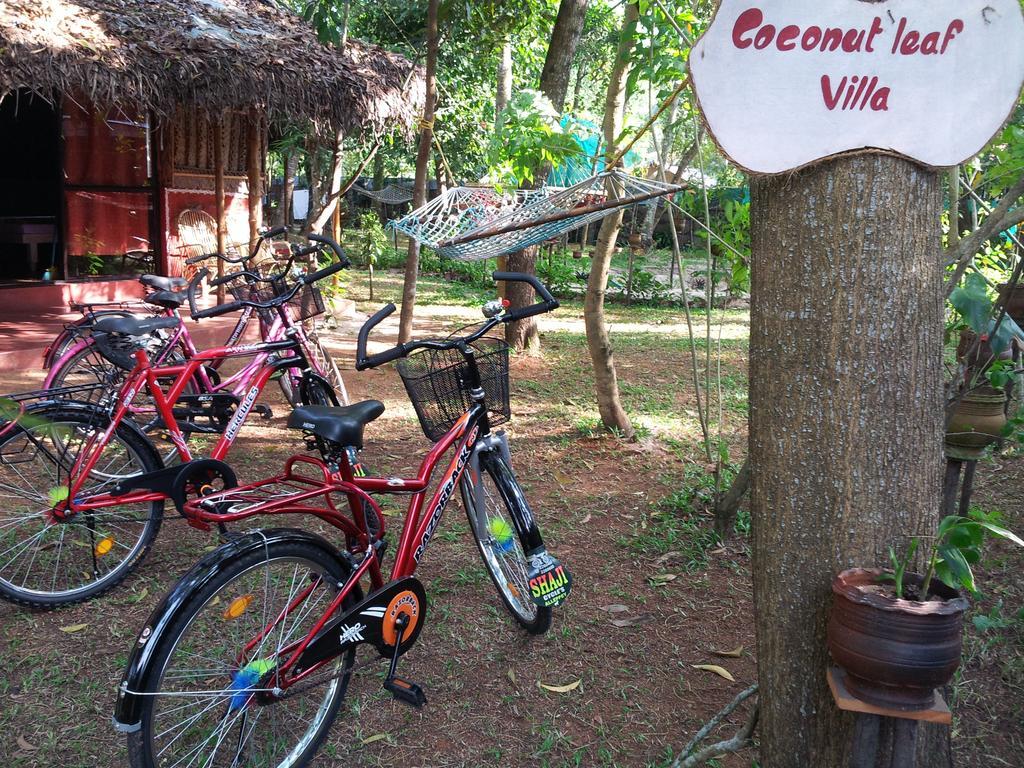 Villa Marari Dreamz Alappuzha Esterno foto