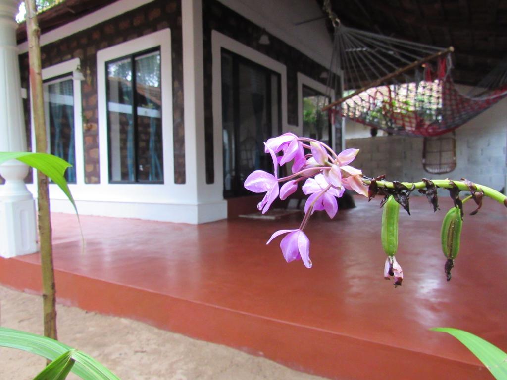 Villa Marari Dreamz Alappuzha Esterno foto